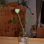 Apartmenthaus Dornroeschen * Ramsau am Dachstein