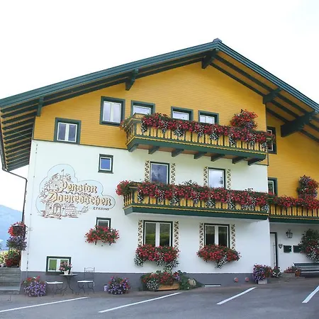 Apartmenthaus Dornroeschen