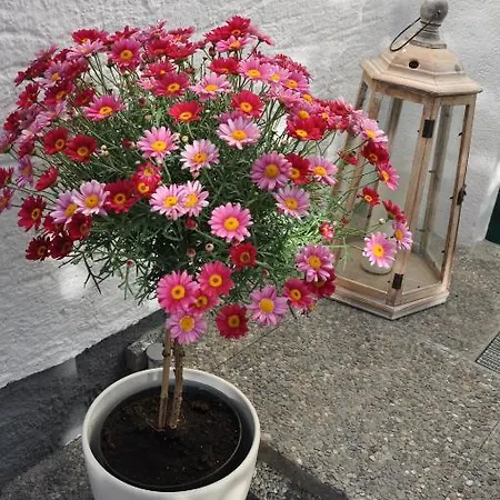 Apartmenthaus Dornroeschen Ramsau am Dachstein