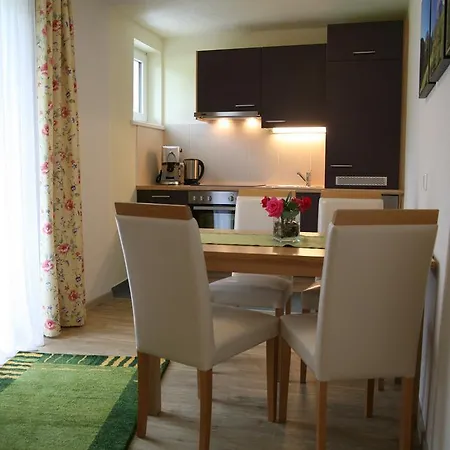 Apartmenthaus Dornroeschen ラムサウ・アム・ダッハシュタイン