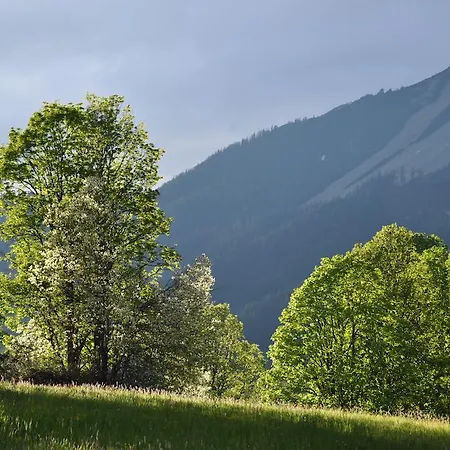 Apartmenthaus Dornroeschen Appartamento Ramsau am Dachstein