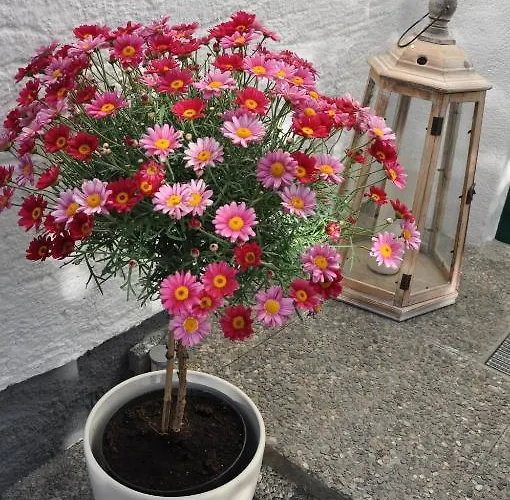 Apartmenthaus Dornroeschen Ramsau am Dachstein