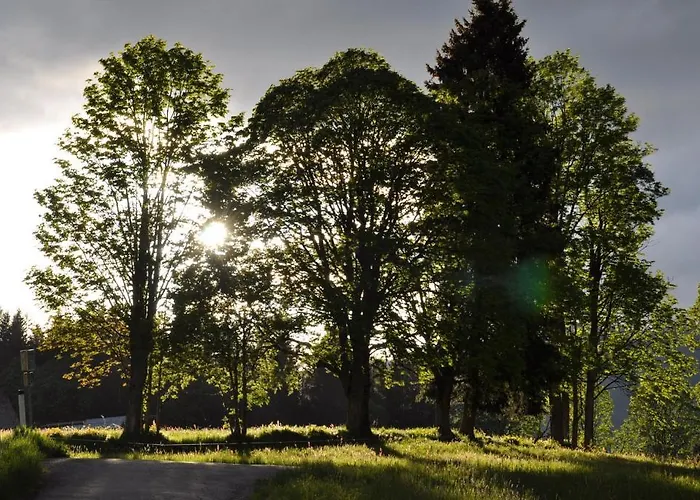 Apartmenthaus Dornroeschen * Ramsau am Dachstein