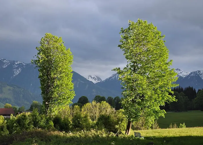 Apartament Apartmenthaus Dornroeschen Ramsau am Dachstein