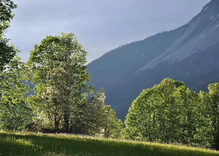 Apartmenthaus Dornroeschen Appartement Ramsau am Dachstein